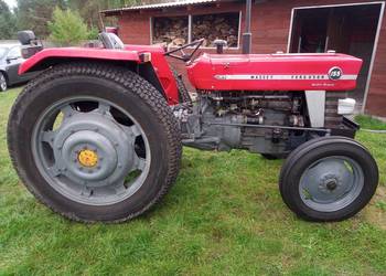 Ciągnik Massey Ferguson MF 155