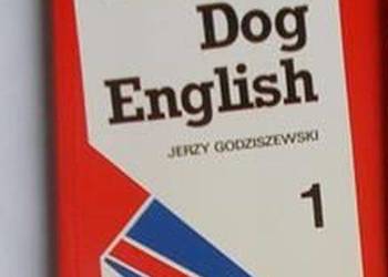 SHAGGY DOG ENGLISH 1 - GODZISZEWSKI JERZY