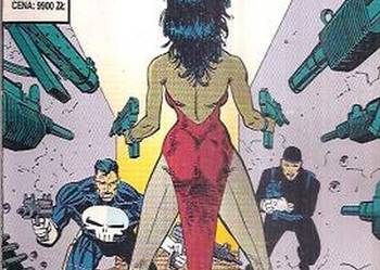 THE PUNISHER - ZACHÓD SŁOŃCA W KANSAS