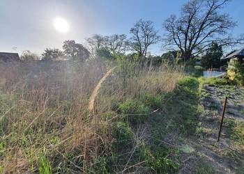 Usługi ogrodnicze, wertykulacja, aeracja trawników