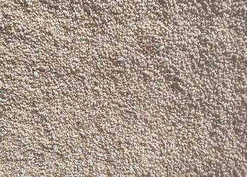 Sprzedam zboże pszenicę