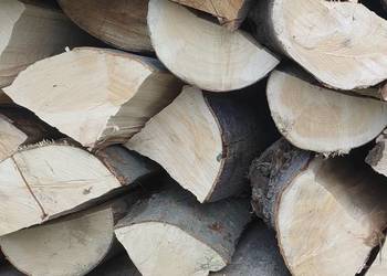 Drewno kominkowe i opałowe