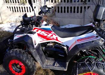 Quad Apollo Asix magnum 250