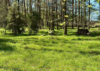 Działka leśna Jankowice 4110 m² Świerklany
