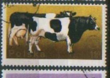 Zn. Fi 2231 - 5  kas 1975