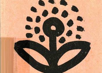 Rośliny Lecznicze i Specjalne - Rumińska A. Suchorska K. Węglarz Z.