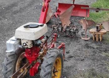 Terra vari jednoosiowy MF 70 gudbrod dzik
