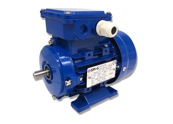 Silnik Łapowy B3 0,25kW 400V 1370 obr W11 3-FAZOWY [3004]