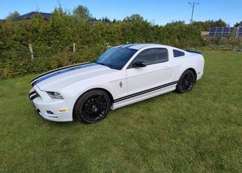 Ford Mustang 2014r. 3.7l.