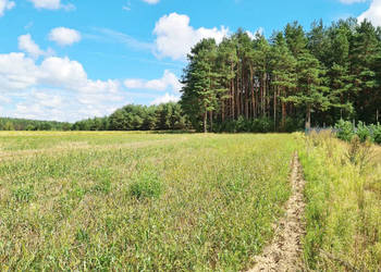 Oferta sprzedaży gruntu Wólka Poduchowna 1047 metrów
