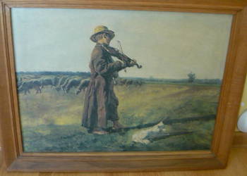 Obraz Owczarek