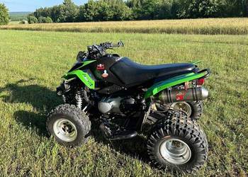 Artic cat dvx250 z homologacją