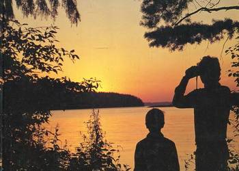 Pojednanie z lasem - Łapiński