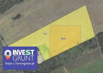 [76,16 ha] przetarg na dzierżawę gruntów rolnych