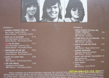 Pop ; DOOLEY FAMILLY- AND THE OTHERS; PRONIT ; LP winyl.