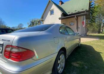 Fajny Mercedes coupe w208
