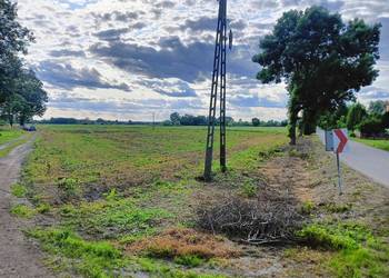 Działka rolna budowlana inwestycyjna Skowierzyn gmina Zaleszany