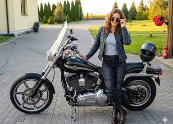 HARLEY DAVIDSON SOFTAIL ANIVERSARY