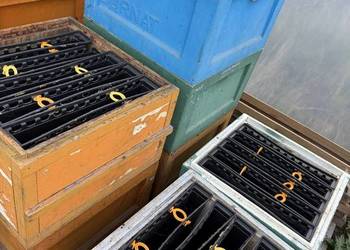 Podkarmiaczki ramkowe Łysoń 4 l wielkopolskie