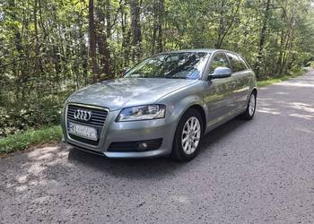 Audi A3 8P 1.9 TDI.