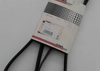 PAS - nr katalog. C-E 87402830