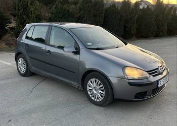 Volkswagen Golf V 1.9 TDI 2005r