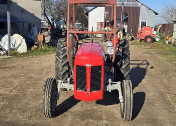 Ciągnik FERGUSON TEF20 zarejestrowany (30 KM, diesel)