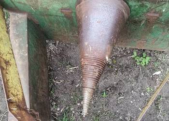 Łuparka świdrowa Posch