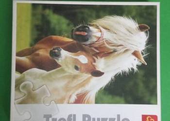 Puzzle trefl dla młodzieży.