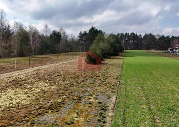 Ogłoszenie grunt 443m2 Czarna Sędziszowska