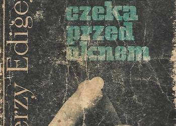 Śmierć czeka przed oknem - J. Edigey