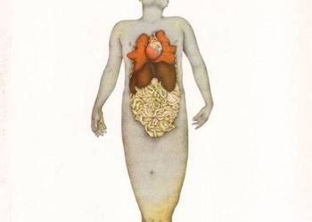 PIĄTE KRÓLESTWO - HONET ROMAN PIĄTE KRÓLESTWO - HONET ROMAN