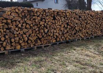 Drewno na ognisko lub do wędzenia - olcha