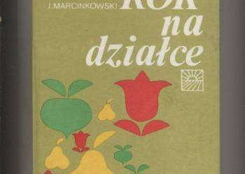 Rok na działce