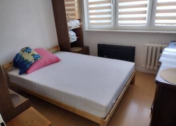 Mieszkanie 45m2 do wynajęcia.
