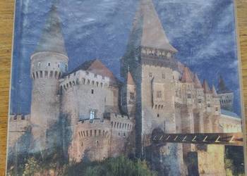 Rumunia- Ł. Galusek, M. Jurecki Bosz