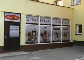 Sprzedam sklep zoologiczno-wędkarski (45 lat tradycji) w Dąbrowie Górniczej