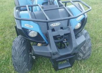 Quad ATV 110/125