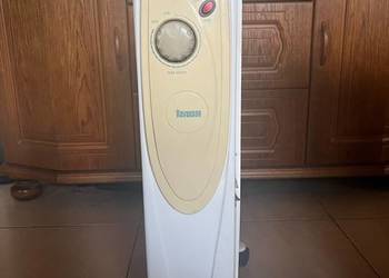 Grzejnik olejowy Ravanson 2000 W