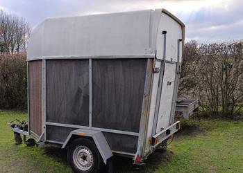 Przyczepa do przewozu koni