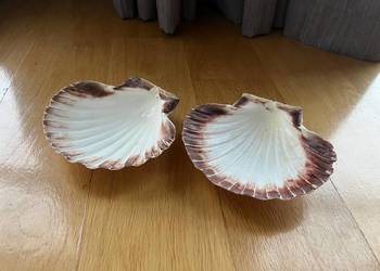 Muszle dekoracyjne przegrzebki – komplet 2 szt., naturalne