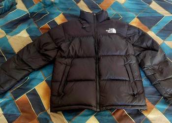 Kurtka TNF