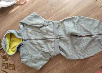 Dres puma