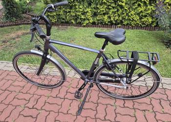 Rower Gazelle Ultimate C11 Alfine 11 Rama H53