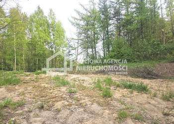 Oferta sprzedaży gruntu Sierakowice 1173m2