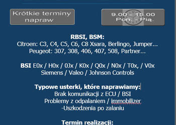 Naprawa modułów BSI, BSM