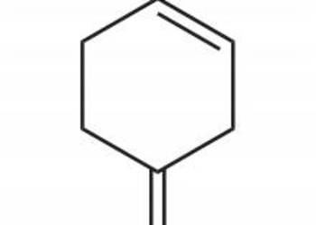 Terpinolen sigma-terpinen Cytrus Limonka 900mL