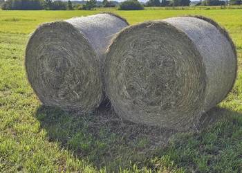 Siano drugi pokos 2025 Siano drugi pokos 2025