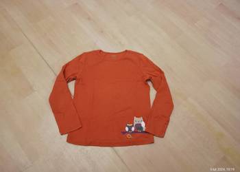 Bluzka bluzeczka T-shirt koszulka długi rękaw Gymboree - sowy ptaszki