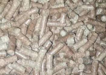 Pellet 6mm